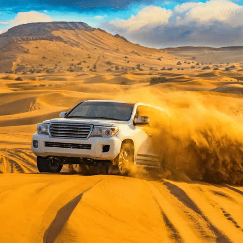 Evening Desert Safari